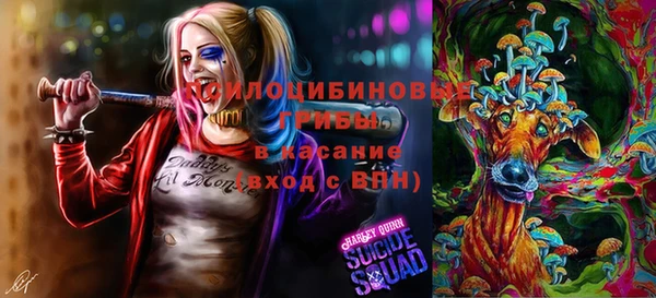 PSILOCYBIN Баксан