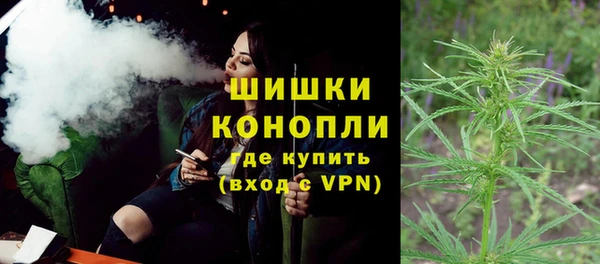 PSILOCYBIN Баксан
