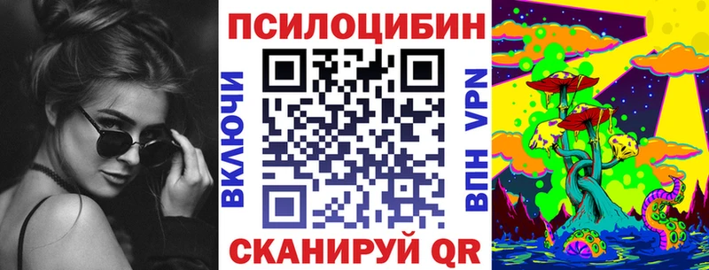 дарнет шоп  Благодарный  Галлюциногенные грибы прущие грибы 