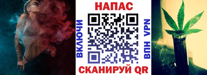Канабис ГИДРОПОН Благодарный